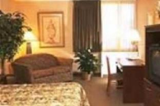Extended Stay America Suites - Dallas - Las Colinas - Green Park Dr Irving Pokój zdjęcie